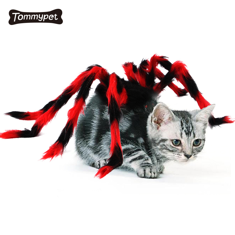 Vật nuôi Halloween Giáng sinh Ngực trở lại Sáng tạo Con chó mèo Con chó nhỏ Nhện biến đổi Trang phục Vật nuôi vải