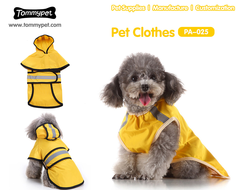 Tìm quần áo chó thời trang mát mẻ và phụ kiện từ nhà sản xuất Trung Quốc cho người bạn lông xù của bạn