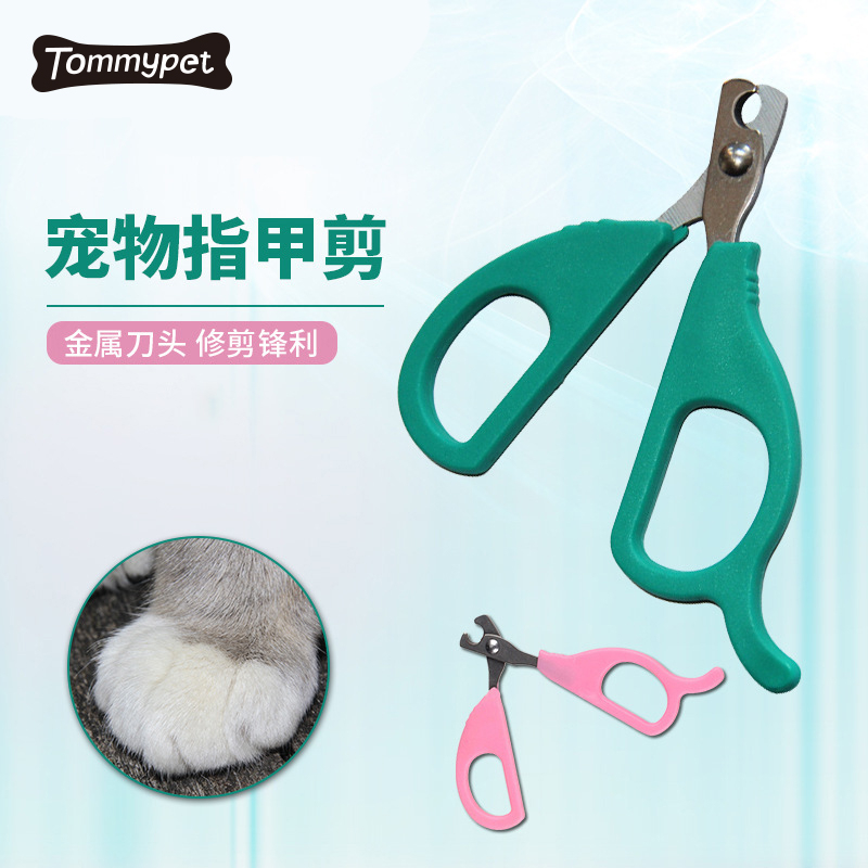 Nhà máy Bán buôn Vỉ Thẻ Bao bì Máy cắt móng tay chuyên nghiệp cho mèo Máy cắt móng tay cho thú cưng Con chó mèo Máy cắt móng tay