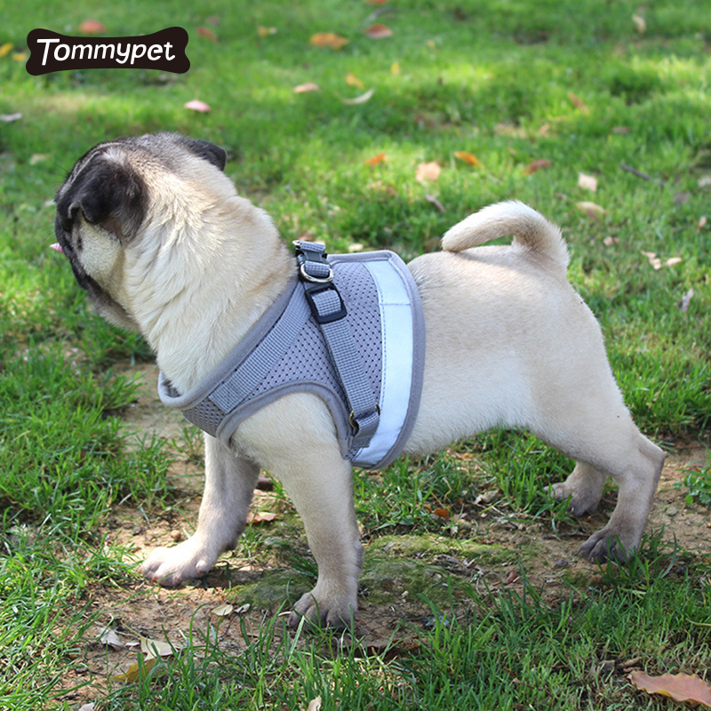 Bán nóng mới cho chó an toàn dây xích dây đai an toàn áo vest vật nuôi dây đai ngực phản quang dây chó có thể đảo ngược nguồn cung cấp vật nuôi