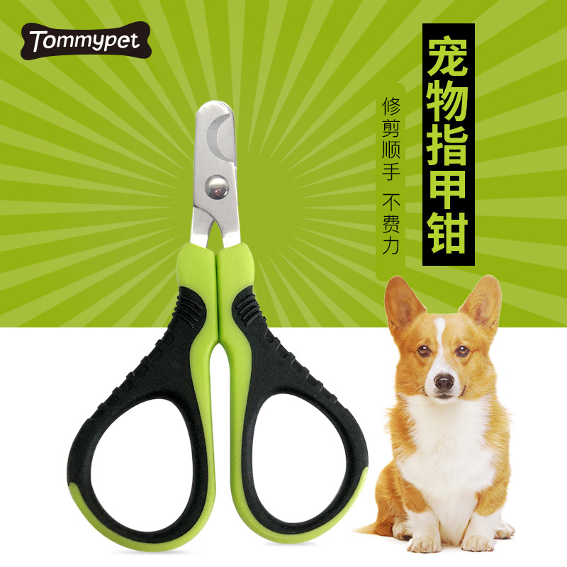Chuyên nghiệp cho chó cưng Pet Nail Clipper Cutter Scissors Set thép không gỉ Cat Grooming Clippers