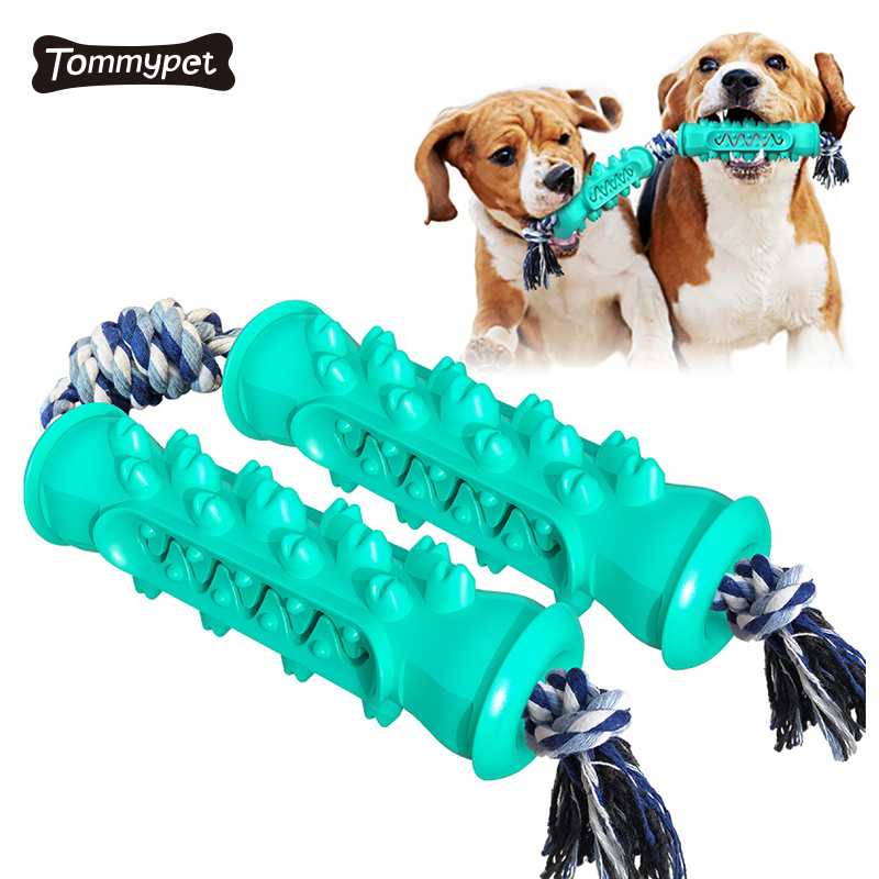 2021 Chăm sóc răng miệng cho chó Thanh bàn chải đánh răng Hiệu quả Làm sạch răng Doggy Máy mát xa Không độc hại Tự nhiên chó mèo