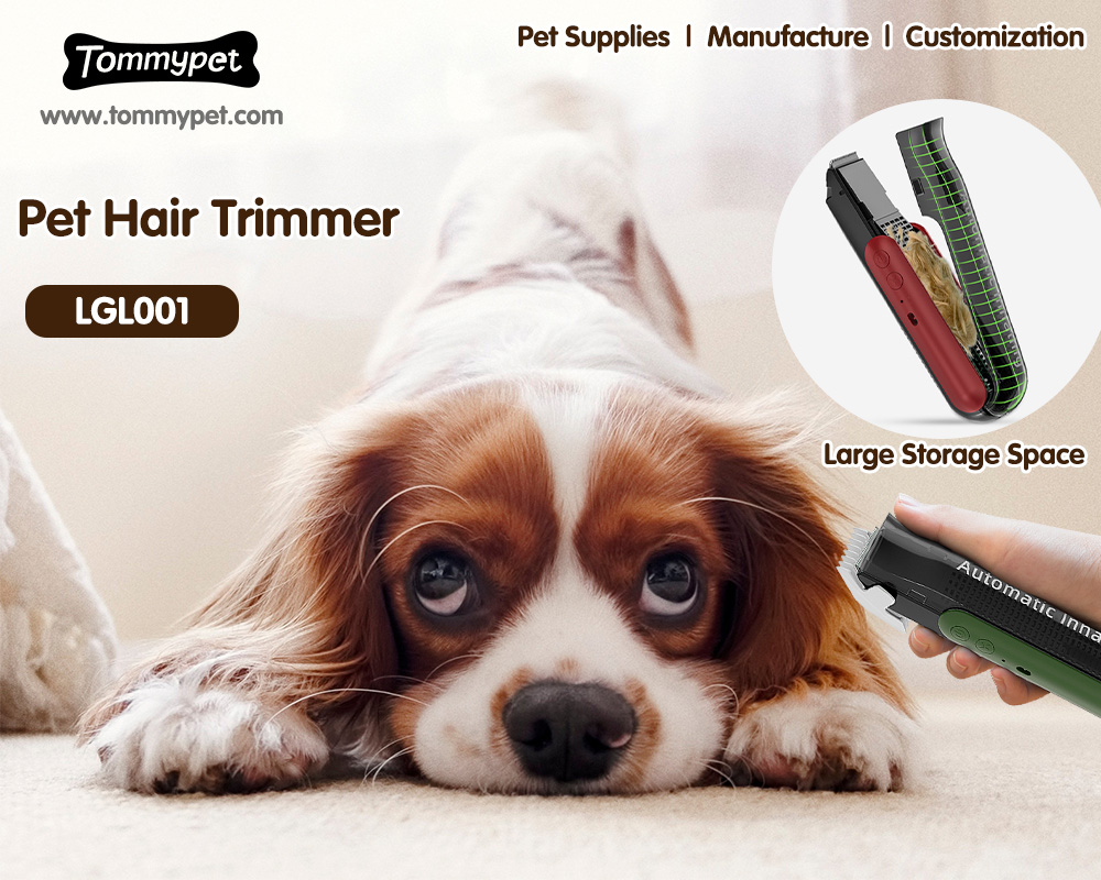 Một số tính năng quan trọng mà cắt tóc chó chân không không dây tốt nhất để sử dụng tại nhà nên có