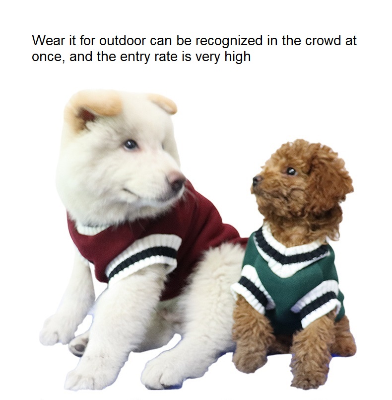 Teddy Cat Fleece Ấm áp Thể thao Mùa đông Sang trọng Cổ điển Cashmere Dệt kim Cotton Pet Blank Dog Áo len cho con chó nhỏ