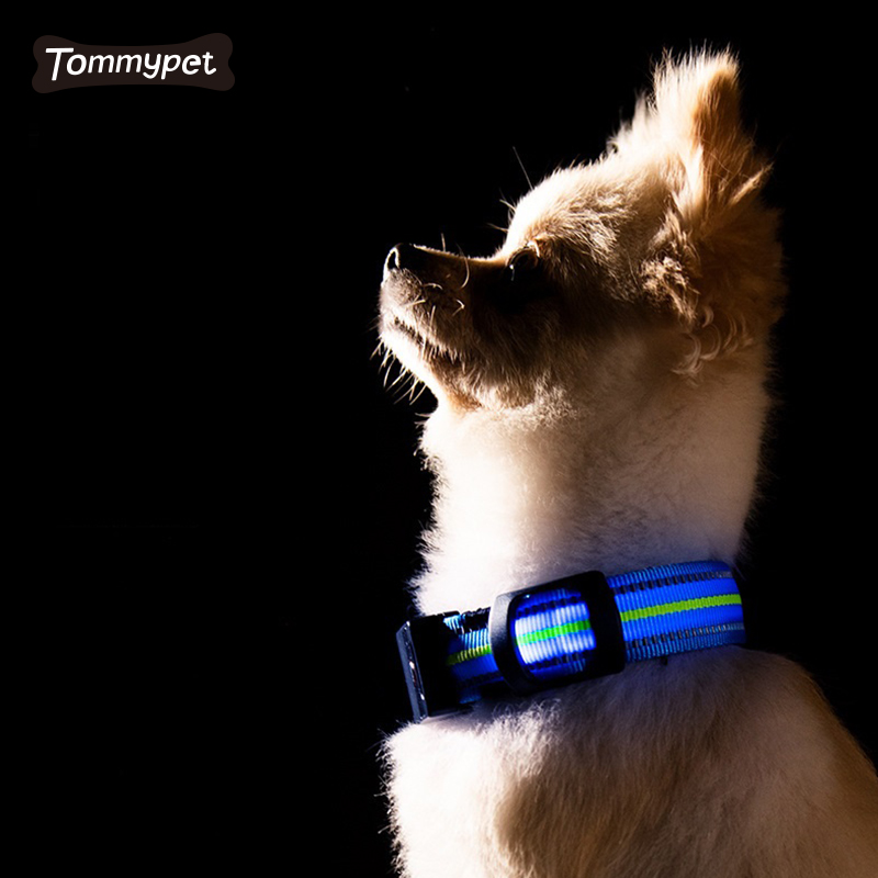 2021 An toàn ban đêm Nhấp nháy Phát sáng trong bóng tối không thấm nước phản quang Nylon Pet LED Cổ áo cho chó