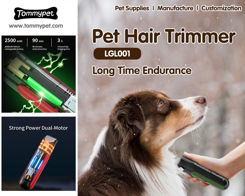 Cung cấp cho con chó của bạn cắt tóc chân không chuyên nghiệp tốt nhất với những con chó không dây tốt nhất để sử dụng tại nhà