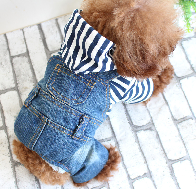 Các nhà sản xuất nhãn hiệu riêng Làm sạch sợi nhỏ tùy chỉnh Mặc quần jean Bốn chân Cậu bé có quần áo cho chó cưng cho chó con