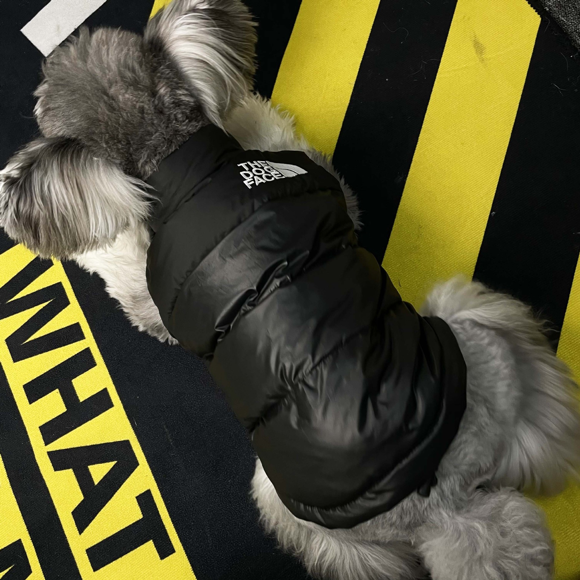 Mặt chó Không thấm nước Vật nuôi Cún con Mùa đông Ấm áp Sang trọng Áo khoác Parkas Áo khoác Puffer Vest Quần áo cho chó