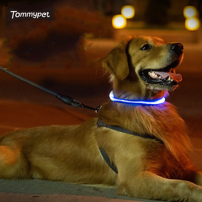 Vòng đeo cổ chó dẫn An toàn Accesorios LED Nylon USB có thể sạc lại Nhấp nháy nguồn cung cấp cho vật nuôi dẫn đầu dây xích cổ cho chó