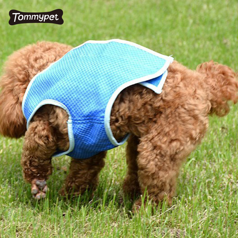 Amazon Best Seller Summer Pet Dog Vest làm mát cho chó cưng