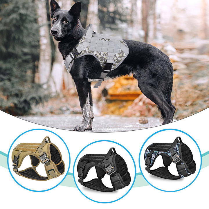 Heavy Duty Custom Designer có thể điều chỉnh Sang trọng Thời trang Lạ mắt Dịch vụ Chiến thuật Quân sự Khai thác Cổ áo và Dây xích cho chó